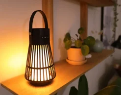 LED Flame Speaker