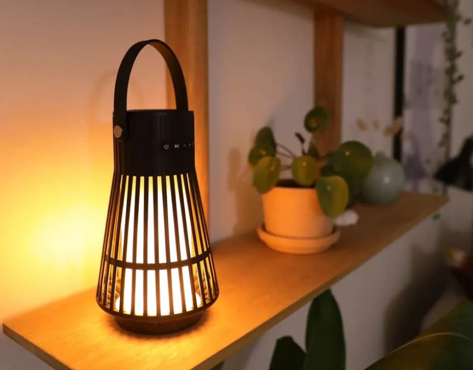 LED Flame Speaker