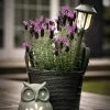 LED Solcellelampe - Ugle