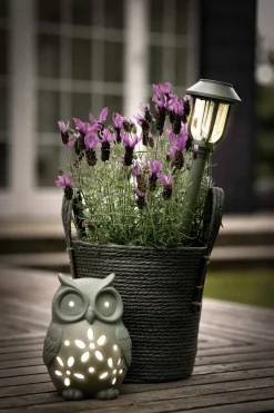 LED Solcellelampe - Ugle