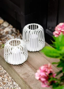 LED Lanterne