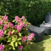 Lounge Satellite Stol