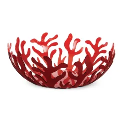 Mediterraneo Frugtkurv