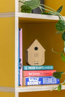 Modern Cuckoo Soundbox