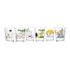 Moomin x Iittala Drikkeglas - Havefest