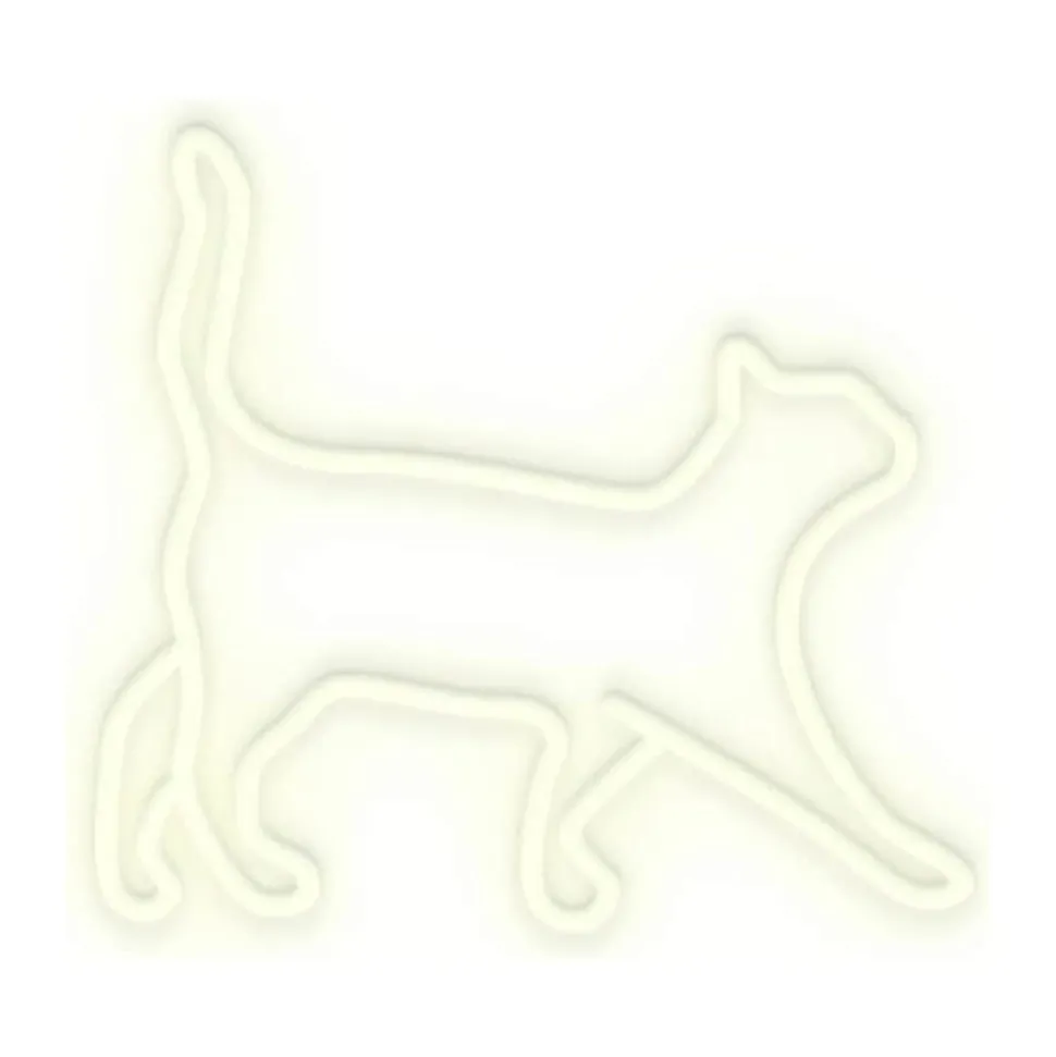Neon LED Lampe - Kat