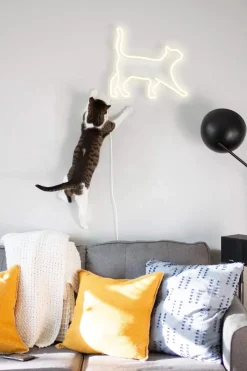 Neon LED Lampe - Kat
