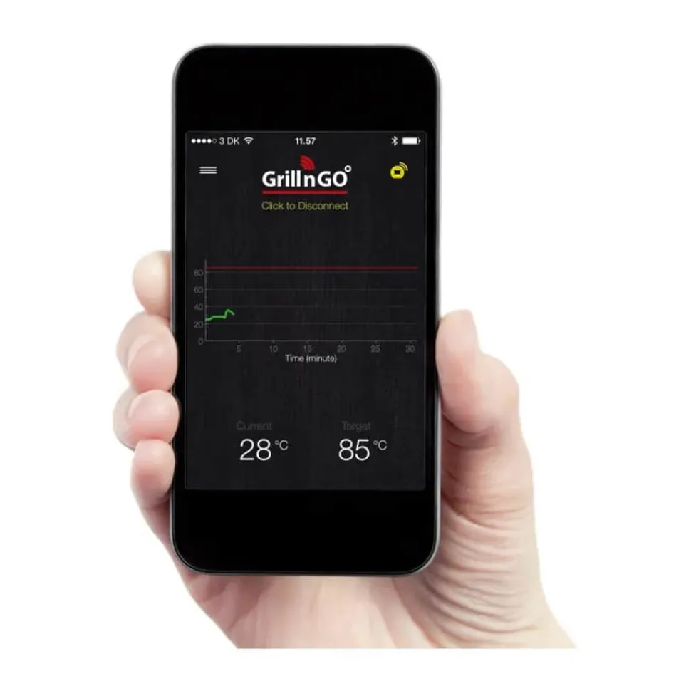 One 2.0 Stegetermometer