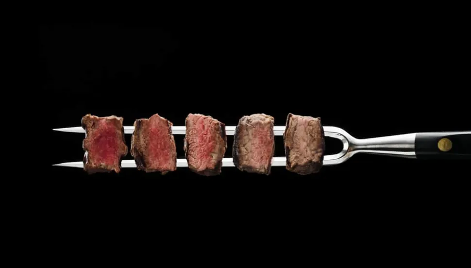 OptiGrill Eco Bordgrill