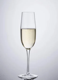 Palace Champagneglas - 6 stk.