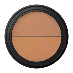 Perfectionist Concealer