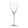Phantom Champagneglas - 2 stk.