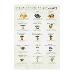 plakat - De 15 bedste spisesvampe