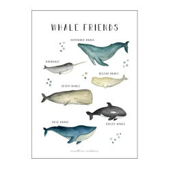 Plakat - Whale Friends