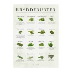 plakat - Krydderurter
