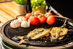 Plancha Grillplade