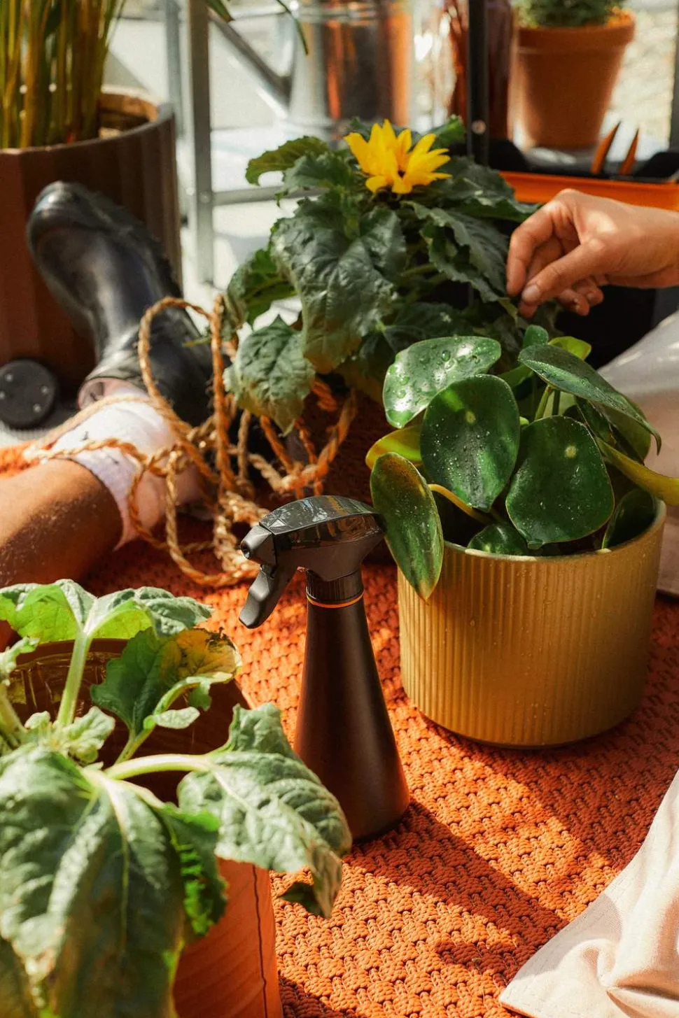 Plant Care Forstøver