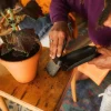 Plant Care 2-i-1 Planteske og Børste