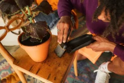 Plant Care 2-i-1 Planteske og Børste