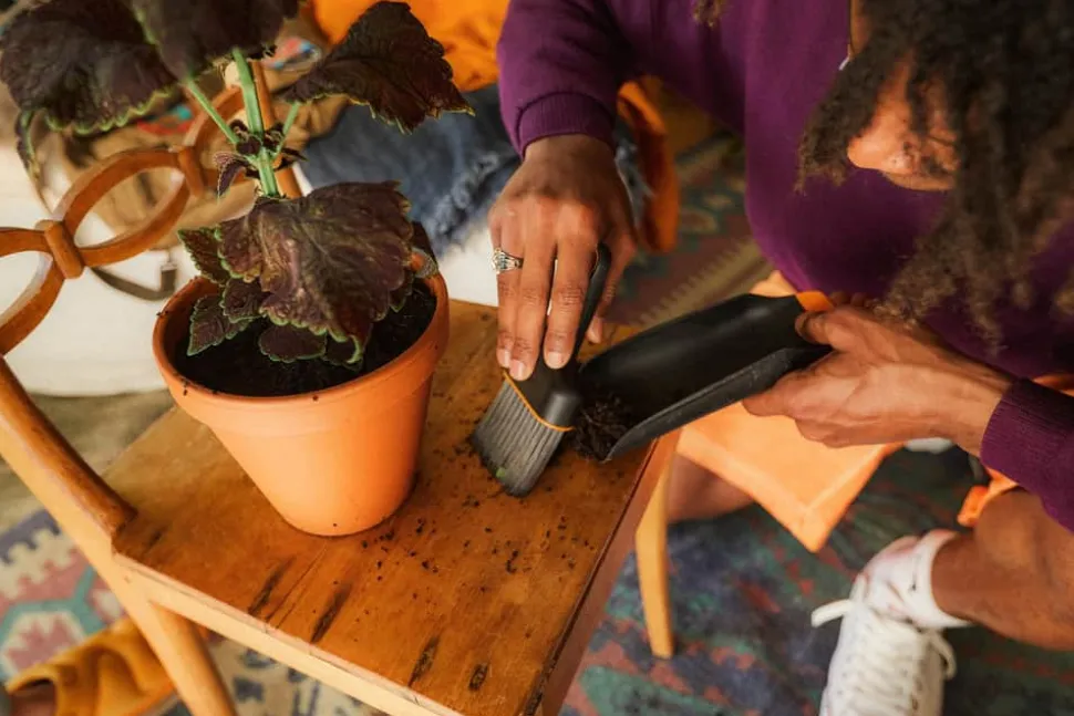 Plant Care 2-i-1 Planteske og Børste