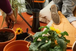 Plant Care Vandkande