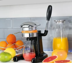 Positano Professional Saftpresser