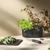 Pot-It Urtekasse