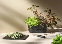 Pot-It Urtekasse