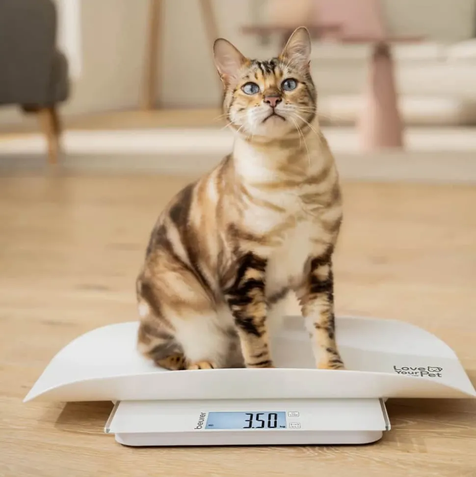 PP170 Polly Kæledyrsvægt