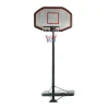Pro Basketball Stander