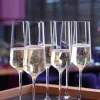 Puccini Champagneglas - 6 stk.