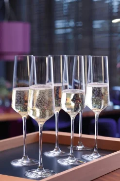 Puccini Champagneglas - 6 stk.