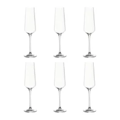 Puccini Champagneglas - 6 stk.