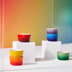 Rainbow Ramekiner - 6 stk.