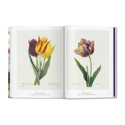 Redouté. Book of Flowers – 40th Anniversary Edition - Af H. Walter Lack
