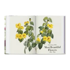 Redouté. Book of Flowers – 40th Anniversary Edition - Af H. Walter Lack