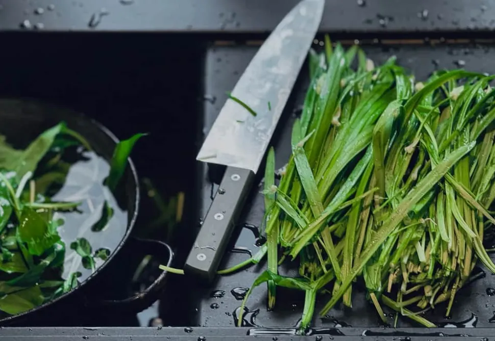 Resolution R12 Big Chopper Kniv