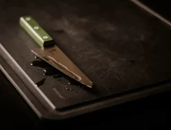 Resolution R5 Honesuki Kniv