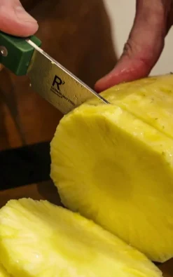 Resolution Universalkniv