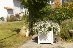 Rosenborg Plantekasse