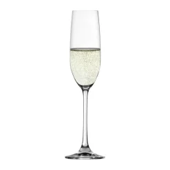 Salute Champagneglas - 4 stk.