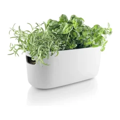 Selvvandende Herb Organiser