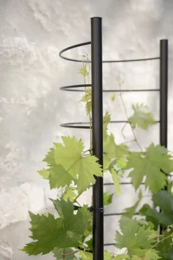 Simply Grow Espalier til potteskjuler