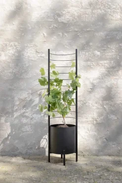 Simply Grow Espalier til potteskjuler