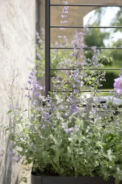 Simply Grow Espalier til plantekasse