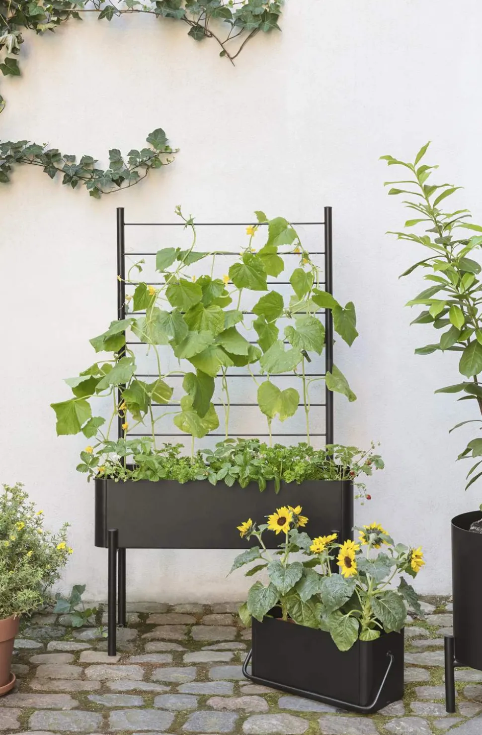 Simply Grow Espalier til plantekasse