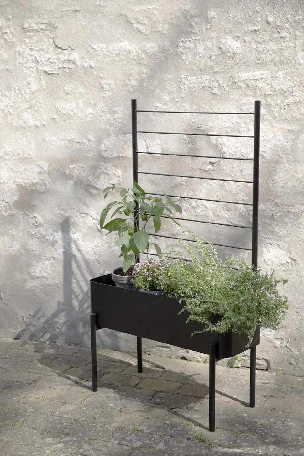 Simply Grow Espalier til plantekasse