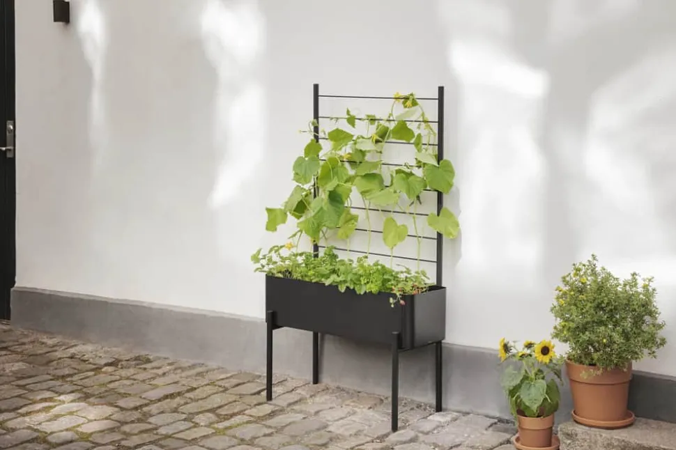 Simply Grow Espalier til plantekasse