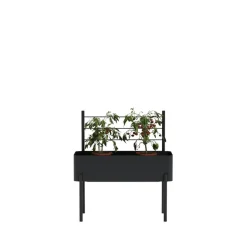 Simply Grow Espalier til plantekasse