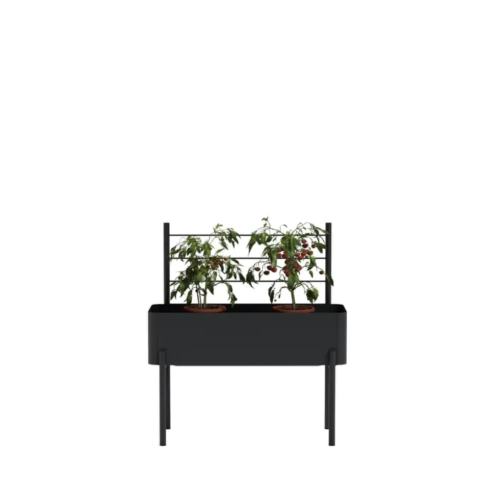Simply Grow Espalier til plantekasse